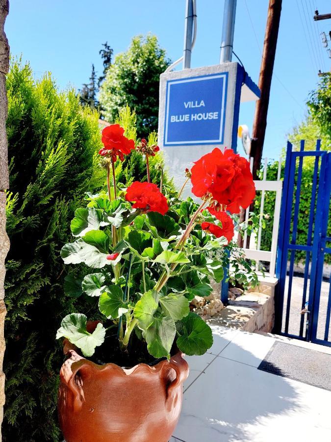 Villa Blue House Nea Kallikrateia 外观 照片